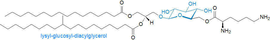 Formula of lysyl-glucosyl-diacylglycerol