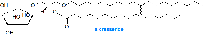 Formula of a crasseride