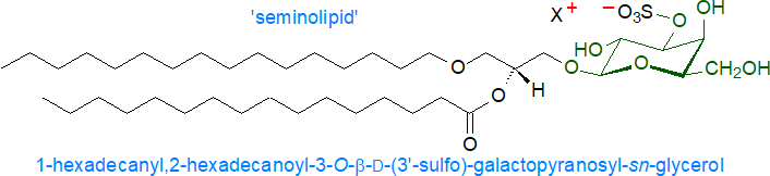 Structural formula of seminolipid