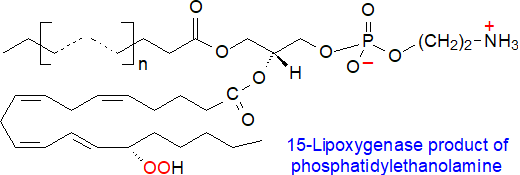 15-Lipoxygenase product of phosphatidylethanolamine