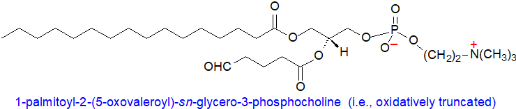 Formula of 1-palmitoyl-2-(5-oxovaleroyl)-sn-glycero-3-phosphocholine