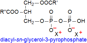 Structural formula of pyrophosphatidic acid