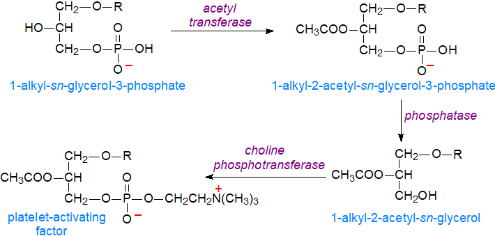 Biosynthesis of platelet-activating factor by the de novo pathway