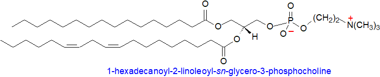 Formula for phosphatidylcholine