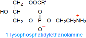 Formula of lysophosphatidylethanolamine