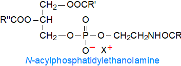 Formula of N-acyl phosphatidylethanolamine