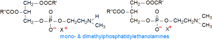 Formulae of mono- and dimethylphosphatidylethanolamines