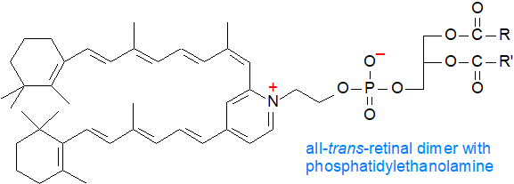 bis-Retinoid phosphatidylethanolamine condensation product