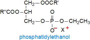 Formula of phosphatidylethanol