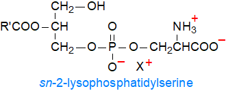 Structural formula of 2-lysophosphatidylserine