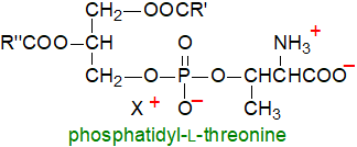 Formulae of phosphatidyl-L-threonine