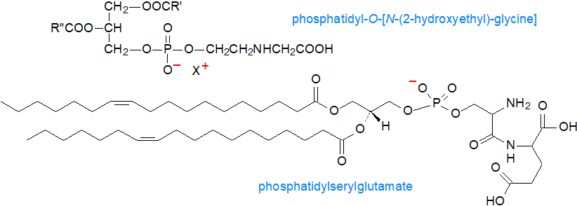 Structural formula of phosphatidylserylglutamate and phosphatidyl-O-[N-(2-hydroxyethyl) glycine]