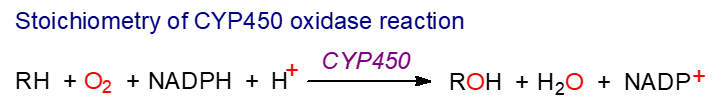 Stoichiomety of CYP450 reaction