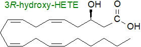 S2: Structural formula of 3R-hydroxy-HETE