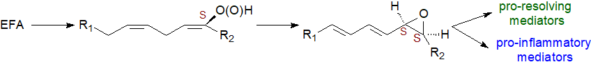 Common reactions for production of lipid mediators