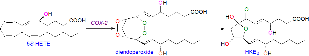 Biosynthesis of the hemiketal eicosanoid HKE2