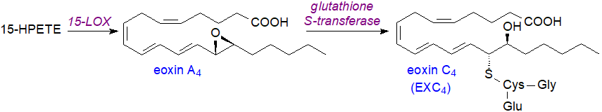 Biosynthesis of eoxins