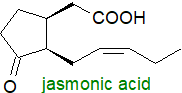 Formula of jasmonic acid