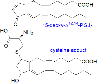 Structural formula for 15-deoxy-PGJ2 and cysteine adduct