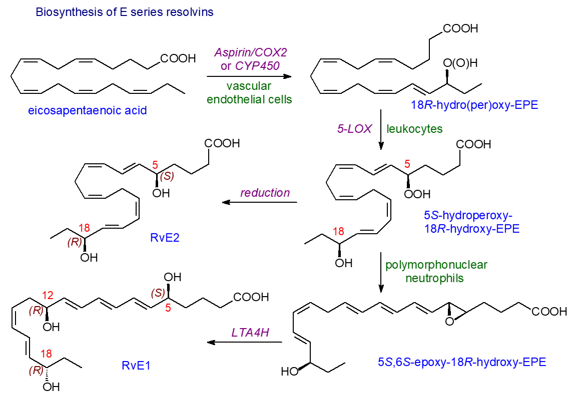 Biosynthesis of the 18R-resolvins