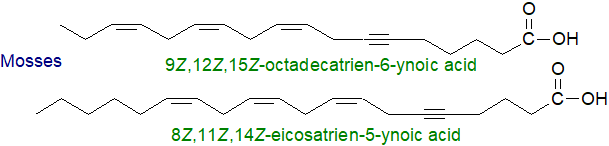 Acetylenic fatty acids from mosses and fungi