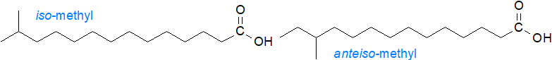 Formulae of iso- and anteiso-methyl-branched fatty acids