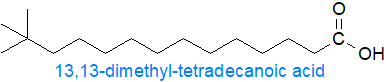 Structural formula of 13,13-dimethyl-tetradecanoic acid