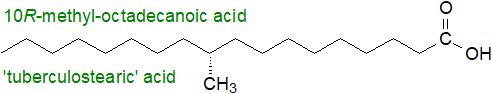 Structural formula of tuberculostearic acid