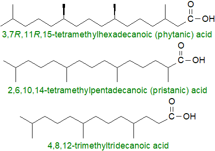 Structural formulae for some isoprenoid fatty acids