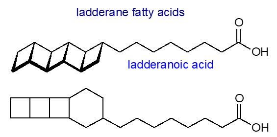 Formulae of ladderane fatty acids