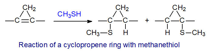 Reaction of methanethiol with a cyclopropene ring