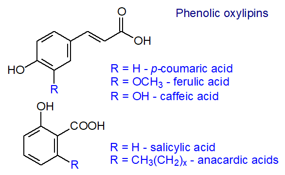 Phenolic acids, e.g., phenylpropanoids, salicylic and anacardic