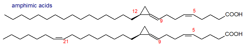 Formulae of amphimic acids
