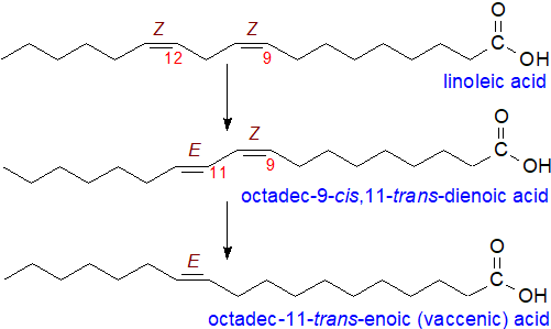 Biohydrogenation of linoleic acid by rumen microorganisms