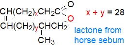 Main omega fatty acid lactone from horse sebum