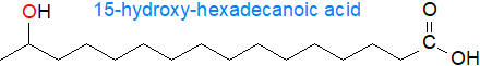 Structure of 15-hydroxy-hexadecanoic acid