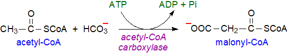 Reaction of acetyl-CoA carboxylase to produce malonyl-CoA