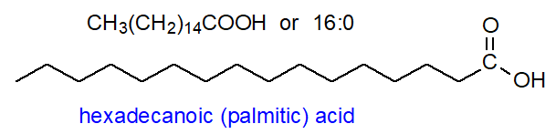 Stuctural formula of hexadecanoic acid