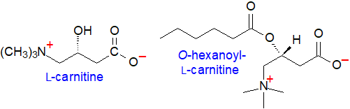 Structural formulae for carnitine and acylcarnitines