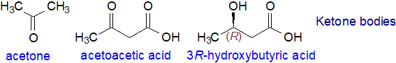 Ketone bodies