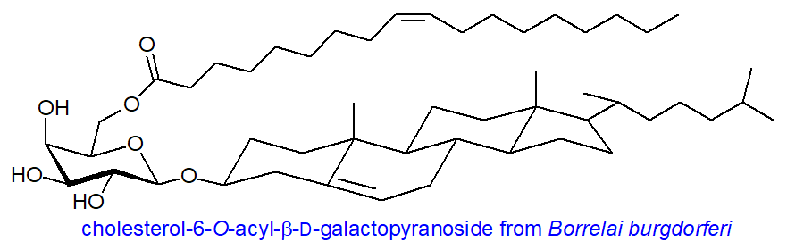 Formula of cholesterol 6-O-acylgalactoside from Borrelia burgdorferi