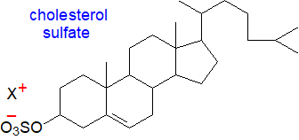 Formula of cholesterol sulfate