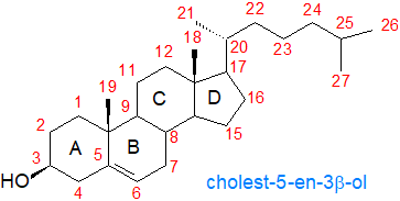 Structural formula for cholesterol