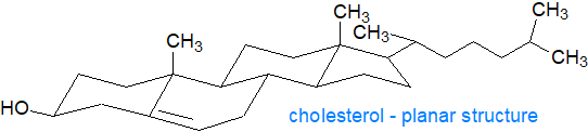 Planar structure of cholesterol