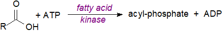 Biosynthesis of acyl phosphates - second route