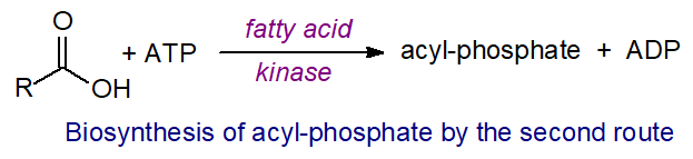 Biosynthesis of acyl phosphates - second route