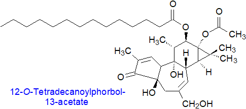 Structure of a phorbol ester