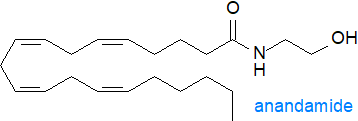 Formula of anandamide