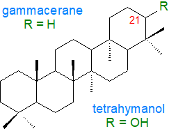 Structure of tetrahymanol