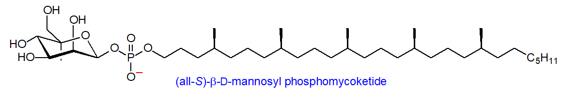Structure of beta-D-mannosyl phosphomycoketide